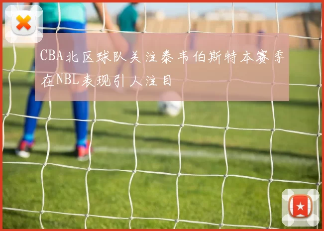 CBA北区球队关注泰韦伯斯特本赛季在NBL表现引人注目