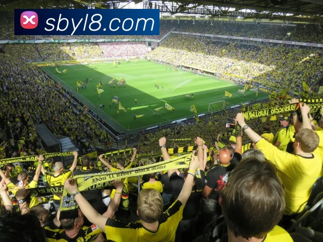 多媒体互动体验