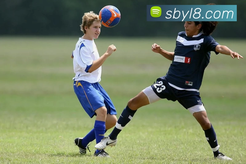 沙巴娱乐APP 高清赛事图